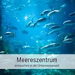 Komfortables Strandzauber Auf Fuer 8 Personen Mit 4 Schlafzimmern Und 2 Baedern بيت للعطل *